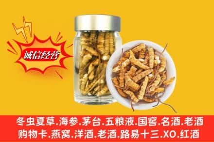 自贡市荣县回收散虫草