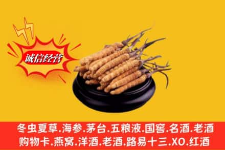 自贡市荣县名酒回收冬虫夏草.jpg